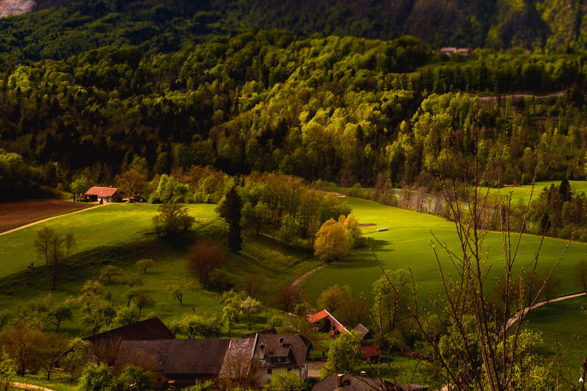 Livade Slovenije