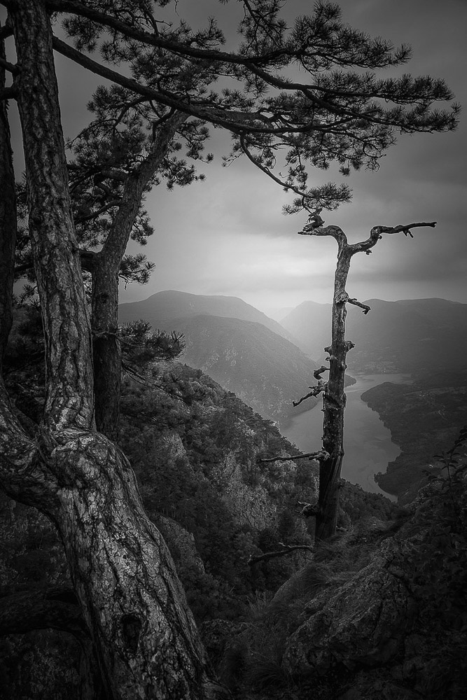 Banjska stena